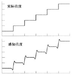005_人眼识别图像马赫带现象